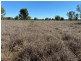 Lot 3 Burtons Rd, Orange Hill QLD 4455