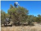 Lot 3 Burtons Rd, Orange Hill QLD 4455