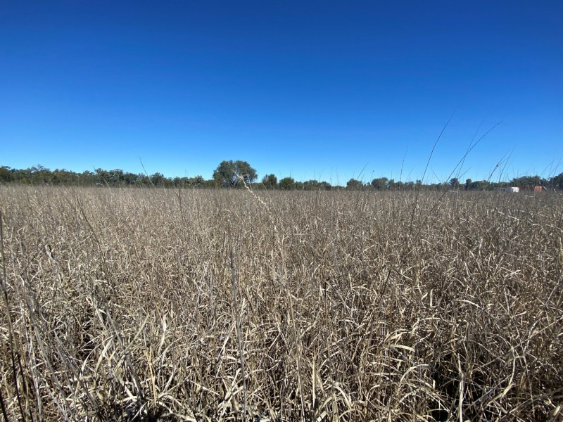 Lot 3 Burtons Rd, Orange Hill QLD 4455