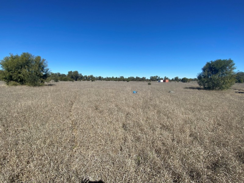 Lot 3 Burtons Rd, Orange Hill QLD 4455