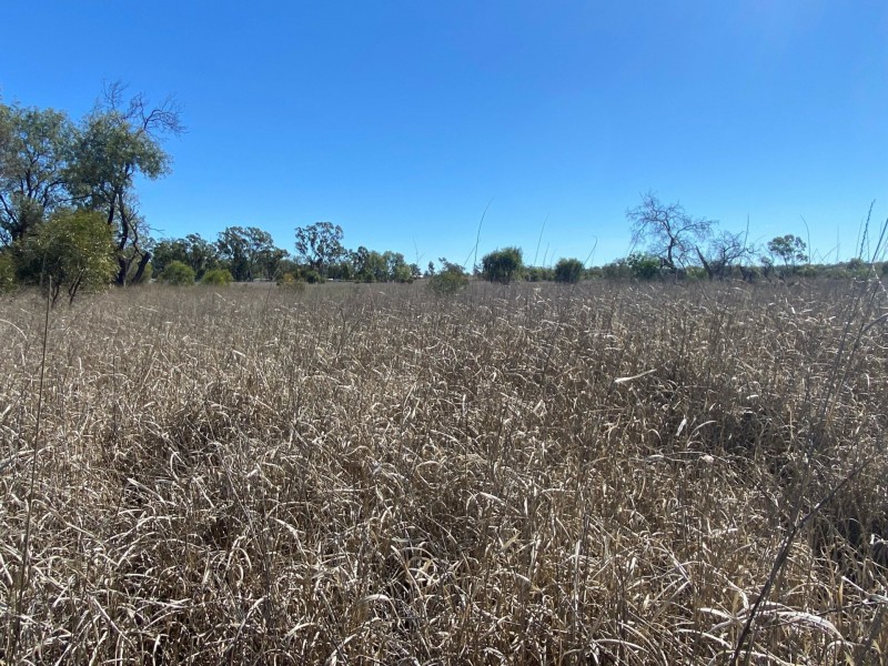 Lot 3 Burtons Rd, Orange Hill QLD 4455