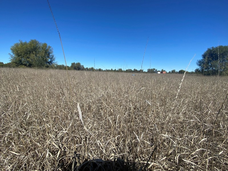 Lot 3 Burtons Rd, Orange Hill QLD 4455