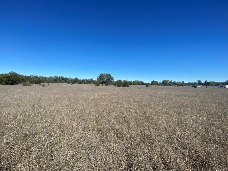 Lot 3 Burtons Rd, Orange Hill QLD 4455