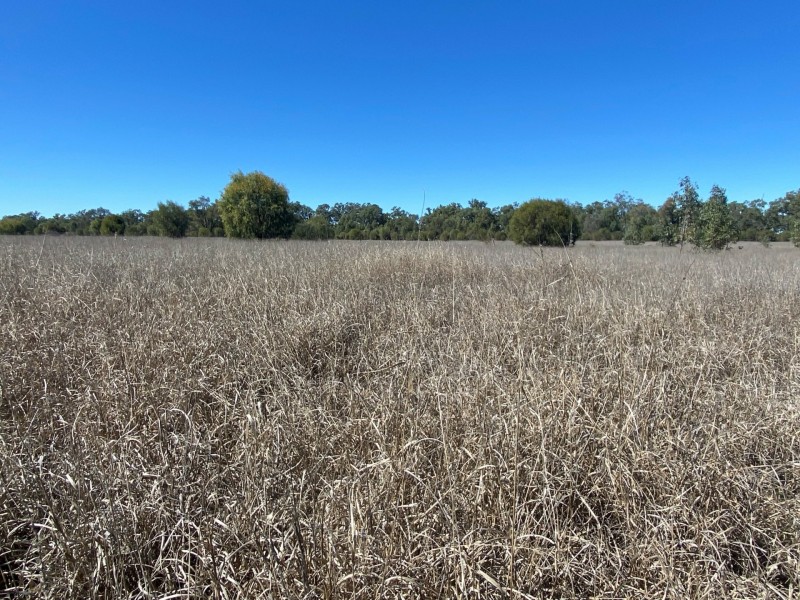 Lot 3 Burtons Rd, Orange Hill QLD 4455