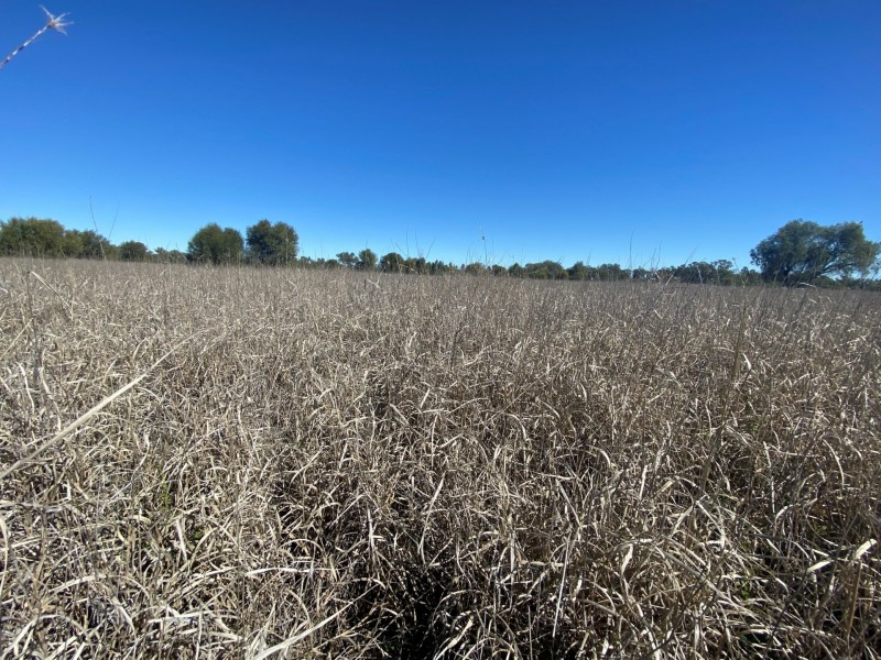 Lot 3 Burtons Rd, Orange Hill QLD 4455