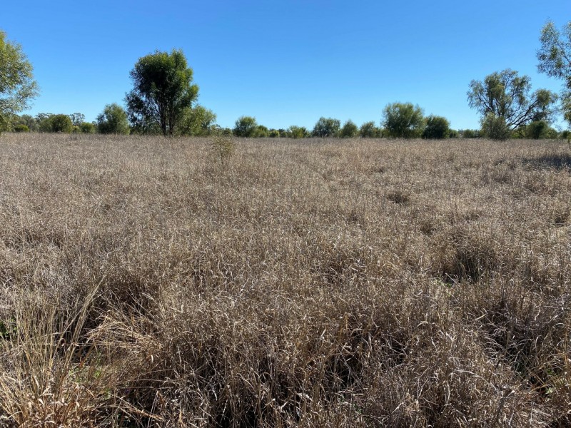 Lot 3 Burtons Rd, Orange Hill QLD 4455