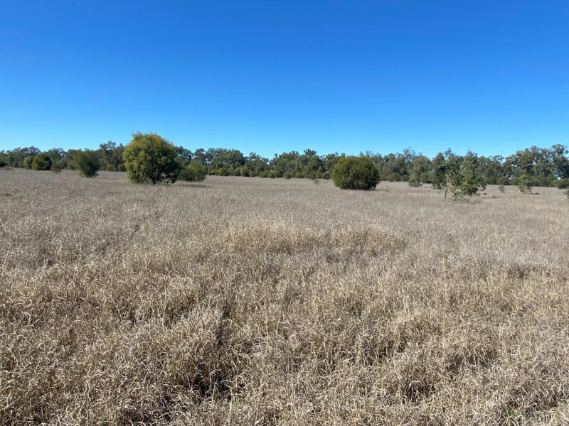 Lot 3 Burtons Rd, Orange Hill QLD 4455