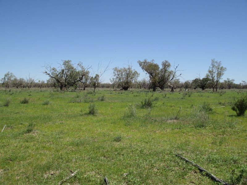 , Morven QLD 4468