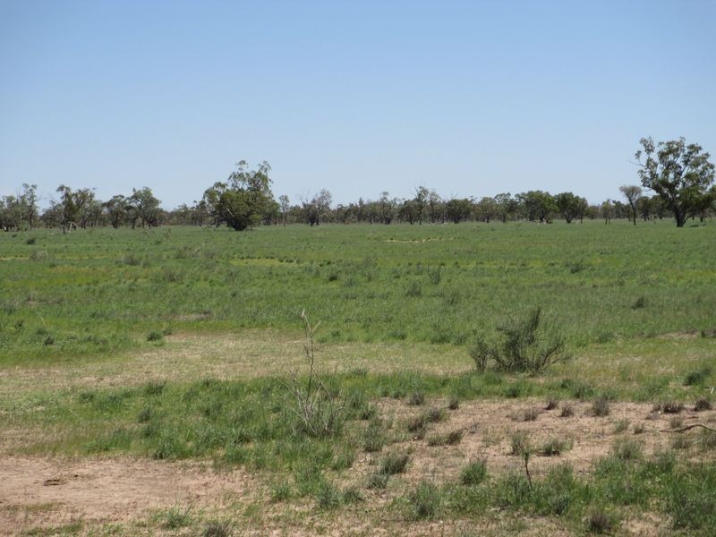 , Morven QLD 4468