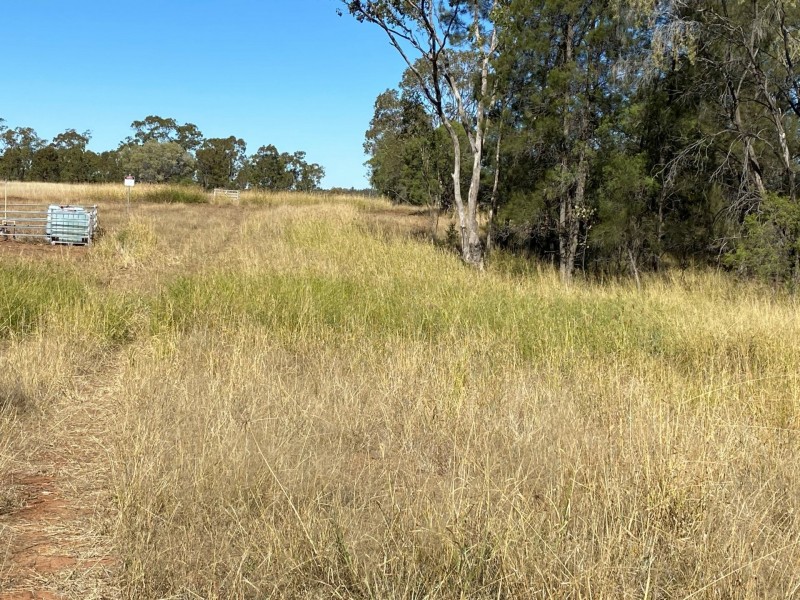 Lot 149 Wallumbilla North Road, Wallumbilla QLD 4428