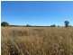 Lot 149 Wallumbilla North Road, Wallumbilla QLD 4428