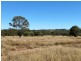Lot 149 Wallumbilla North Road, Wallumbilla QLD 4428