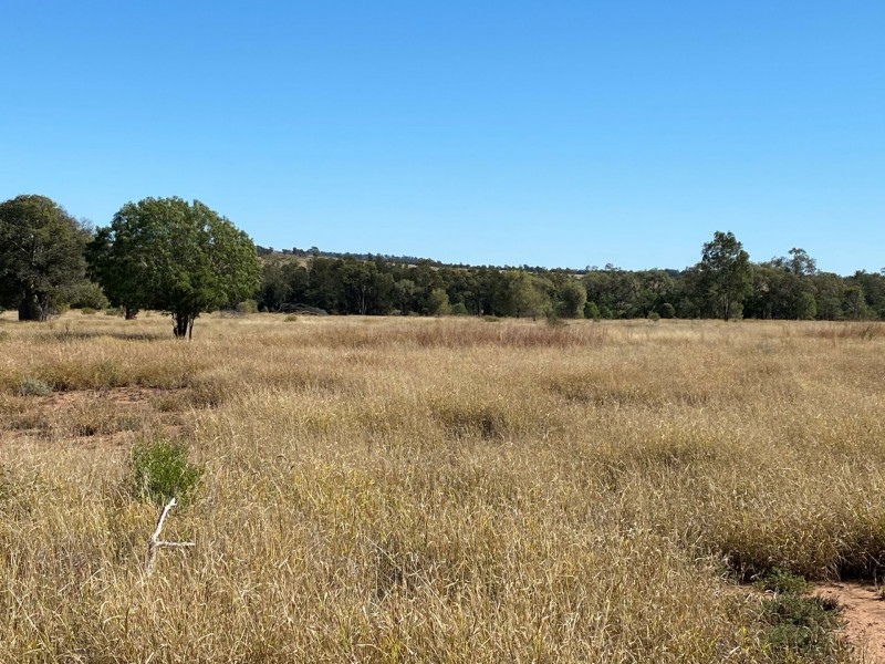 Lot 149 Wallumbilla North Road, Wallumbilla QLD 4428