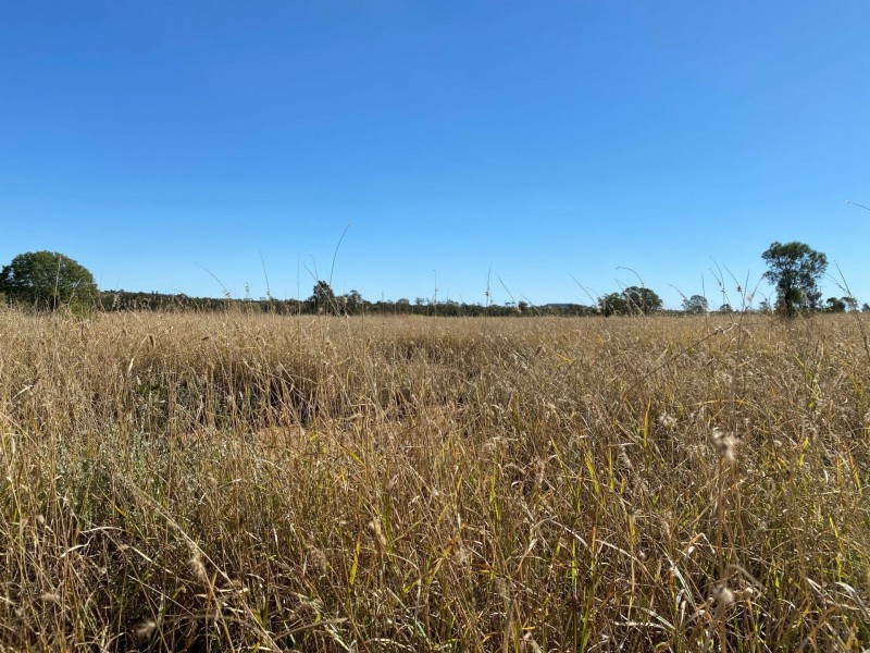 Lot 149 Wallumbilla North Road, Wallumbilla QLD 4428