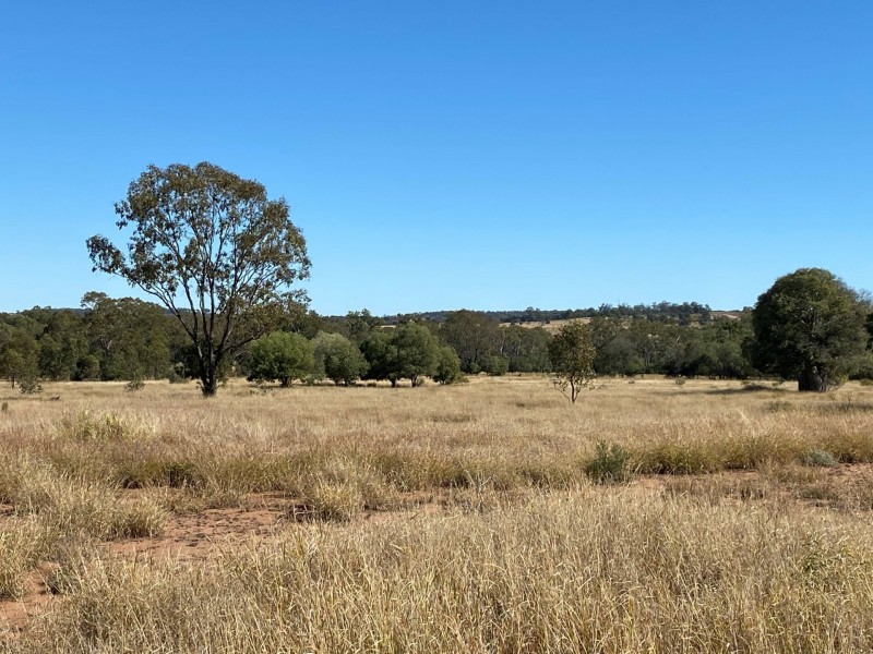Lot 149 Wallumbilla North Road, Wallumbilla QLD 4428