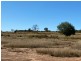 Lot 149 Wallumbilla North Road, Wallumbilla QLD 4428