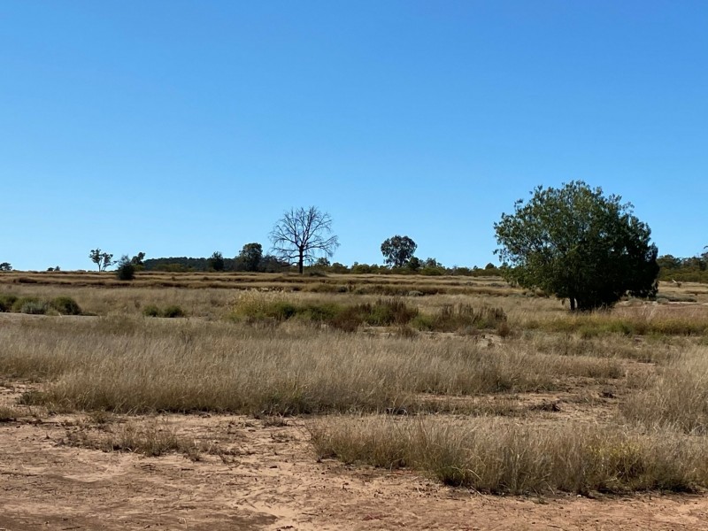 Lot 149 Wallumbilla North Road, Wallumbilla QLD 4428