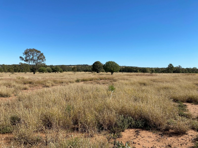 Lot 149 Wallumbilla North Road, Wallumbilla QLD 4428