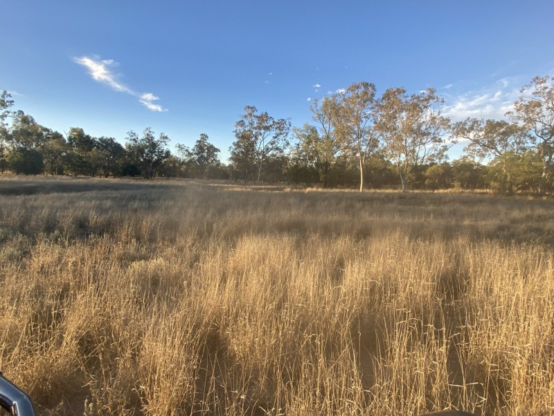 1850 Blue Hills Road, Tingun QLD 4455