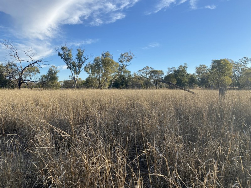 1850 Blue Hills Road, Tingun QLD 4455