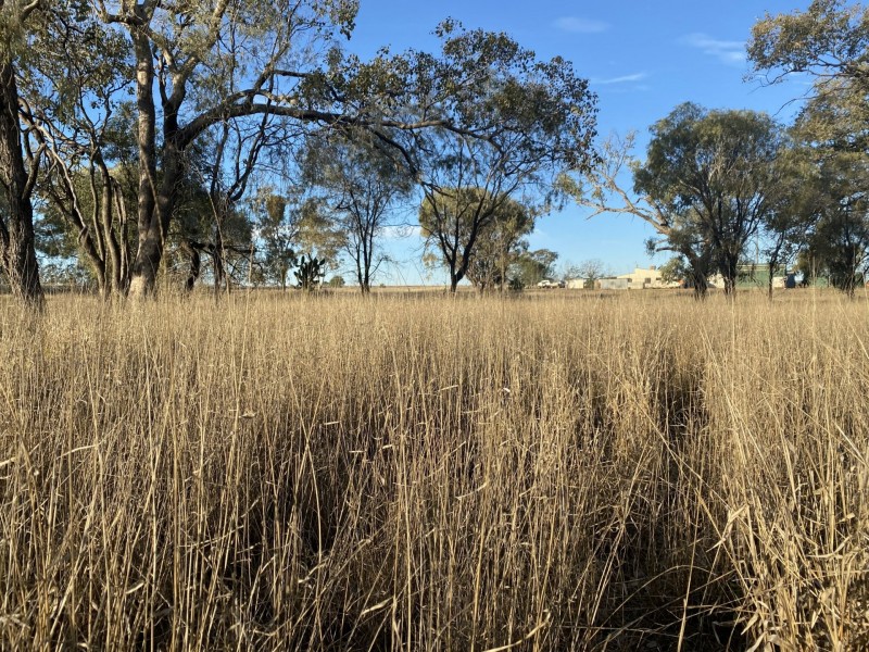 1850 Blue Hills Road, Tingun QLD 4455