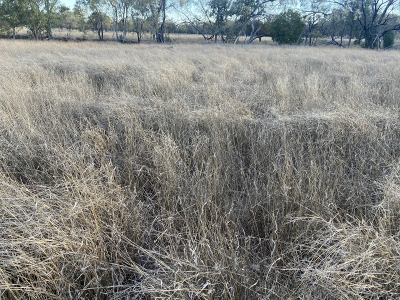 1850 Blue Hills Road, Tingun QLD 4455