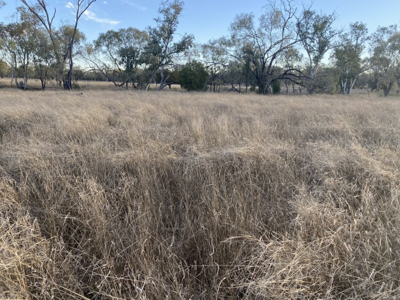 1850 Blue Hills Road, Tingun QLD 4455