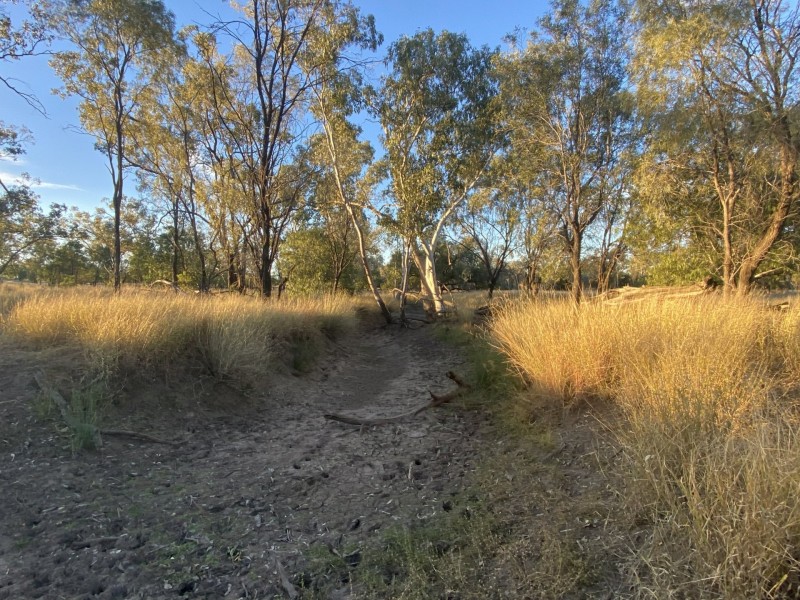 1850 Blue Hills Road, Tingun QLD 4455