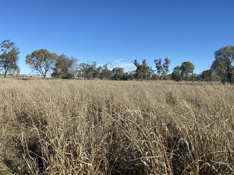 1850 Blue Hills Road, Tingun QLD 4455