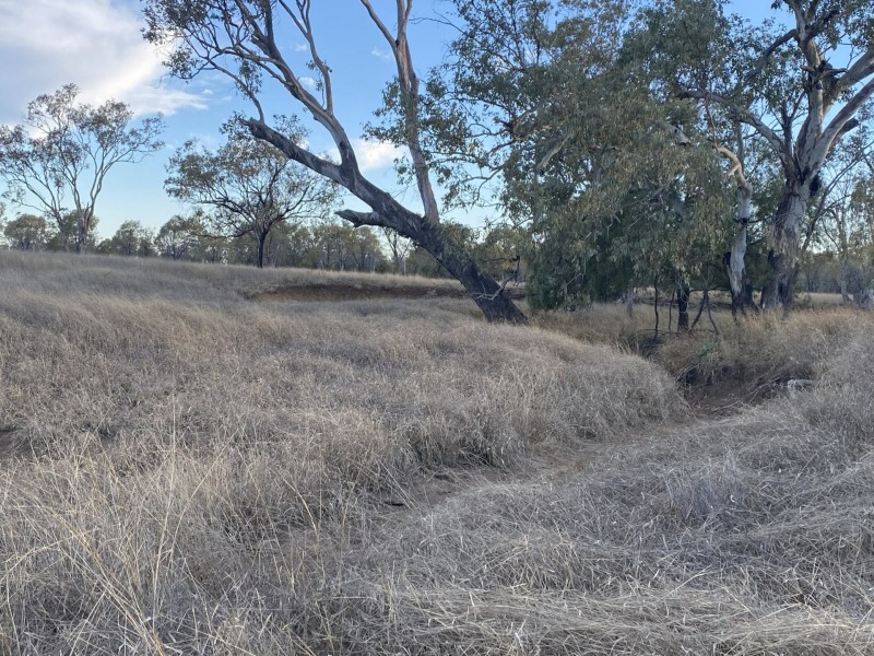 1850 Blue Hills Road, Tingun QLD 4455