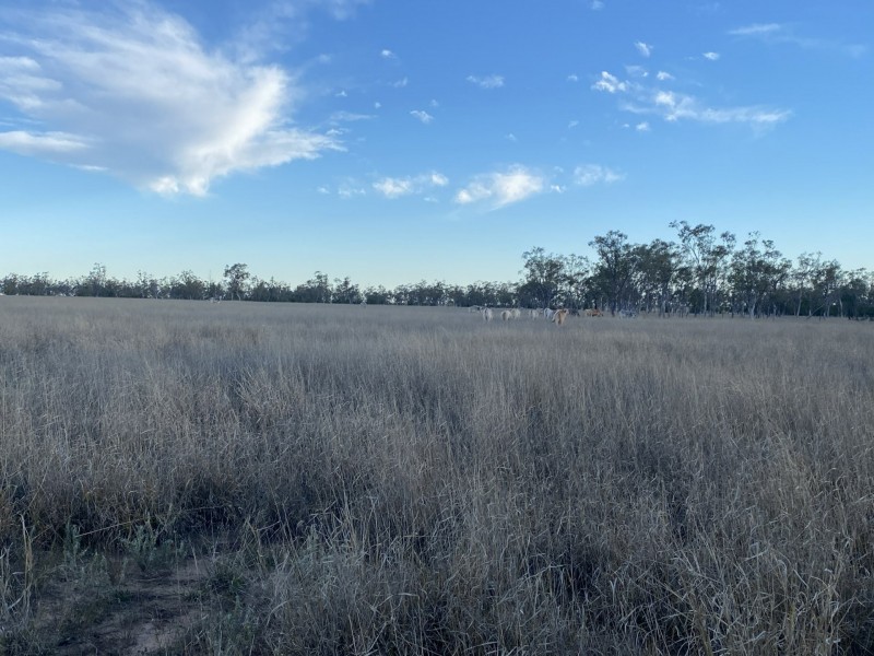 1850 Blue Hills Road, Tingun QLD 4455