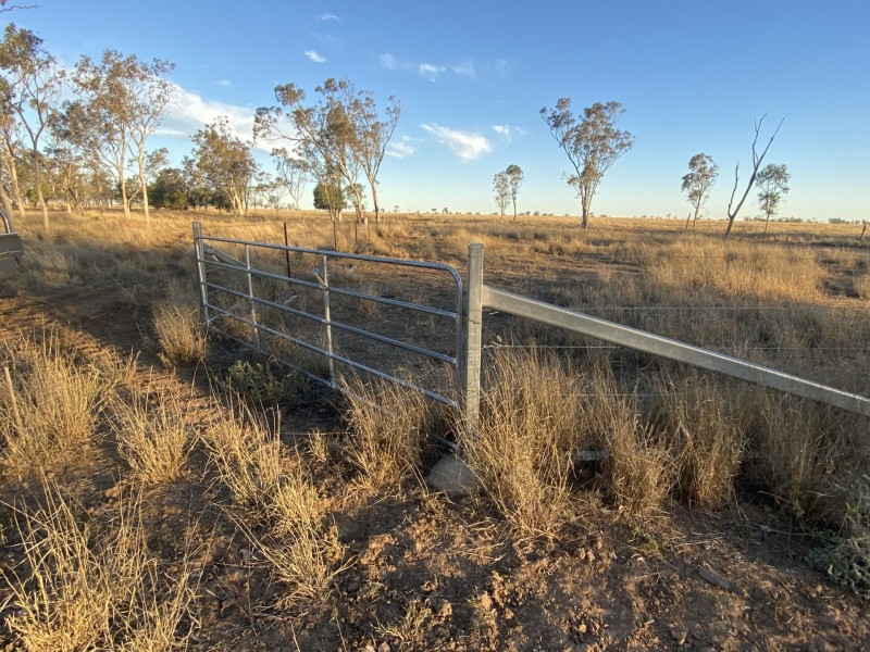 1850 Blue Hills Road, Tingun QLD 4455