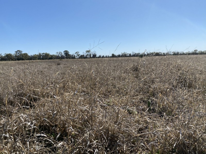 102 Houston Road, Wallumbilla QLD 4428