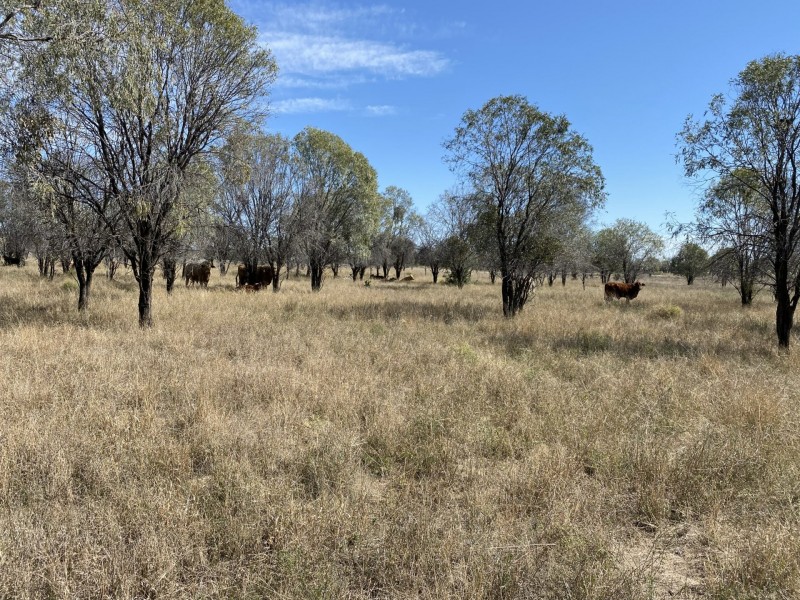 102 Houston Road, Wallumbilla QLD 4428