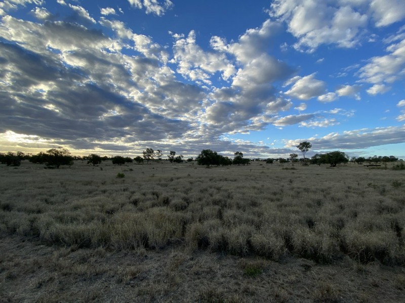 970 Dargal Road, Bungeworgorai QLD 4455