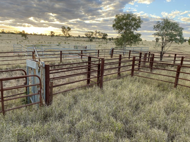 970 Dargal Road, Bungeworgorai QLD 4455