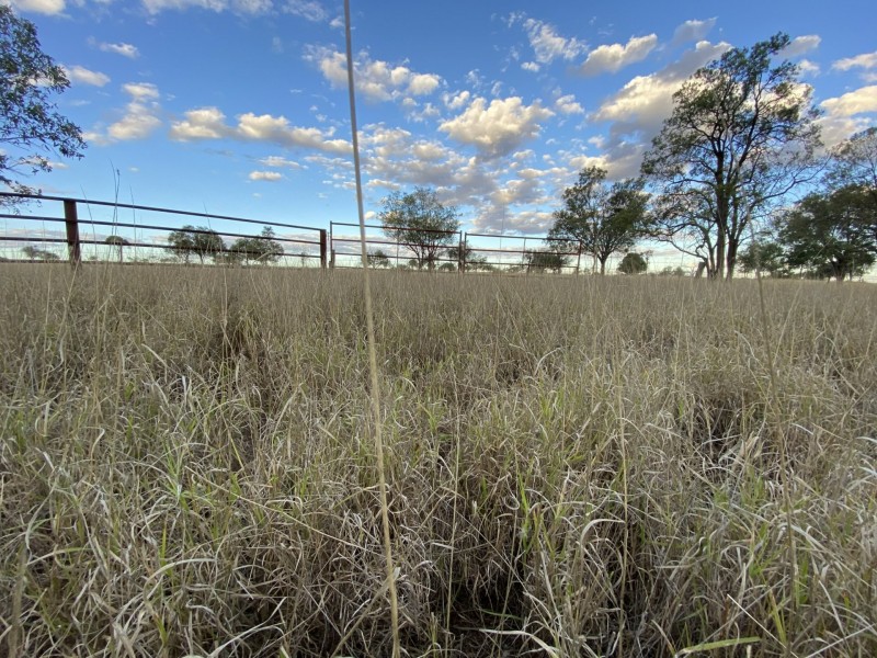 970 Dargal Road, Bungeworgorai QLD 4455