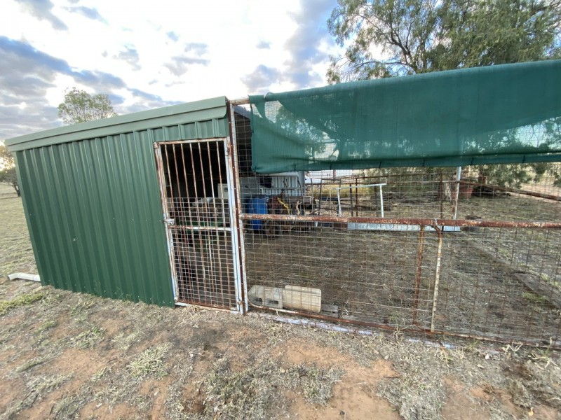 970 Dargal Road, Bungeworgorai QLD 4455