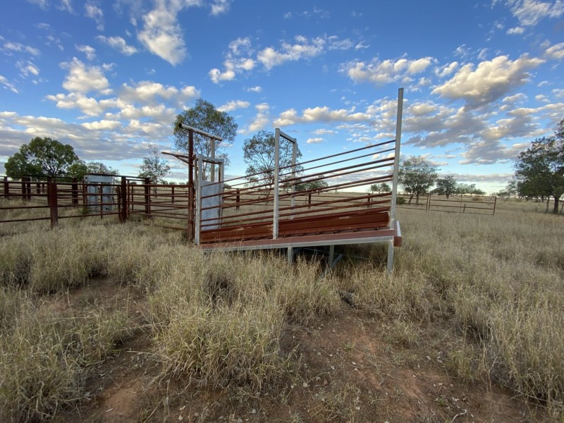 970 Dargal Road, Bungeworgorai QLD 4455