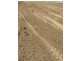 Roma QLD 4455