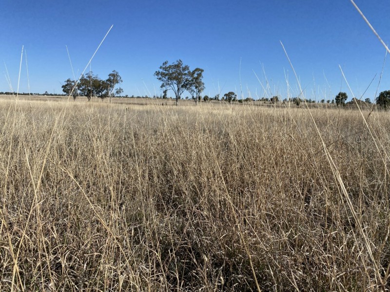 112 Ona Ona Road, Roma QLD 4455