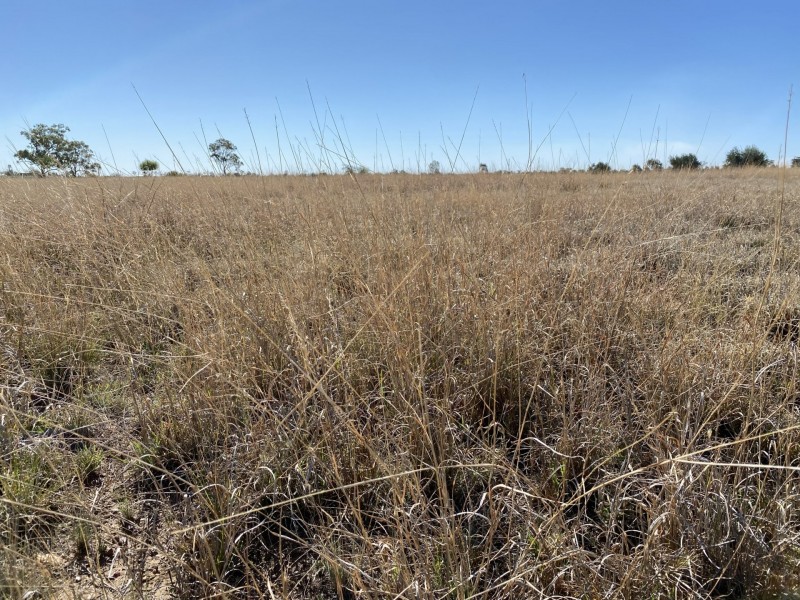 112 Ona Ona Road, Roma QLD 4455