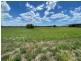 142 Roma Downs Road, Roma QLD 4455