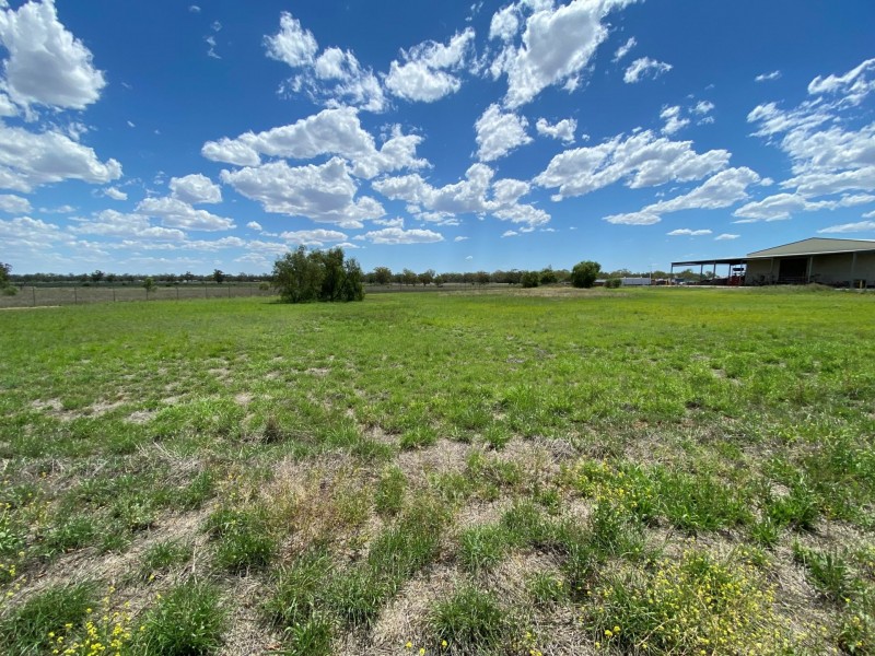 142 Roma Downs Road, Roma QLD 4455