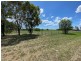 142 Roma Downs Road, Roma QLD 4455