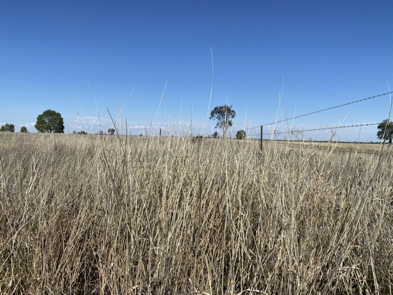 Lot 109 Ona Ona Road, Roma QLD 4455