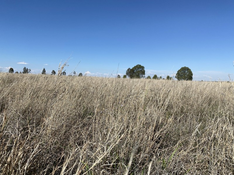 Lot 109 Ona Ona Road, Roma QLD 4455