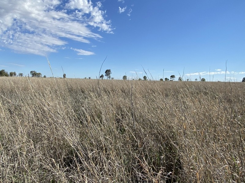 Lot 109 Ona Ona Road, Roma QLD 4455