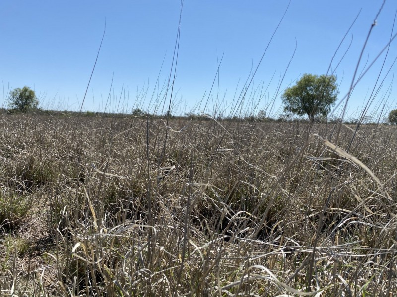 502 Bungeworgorai Lane, Dargal Road QLD 4455