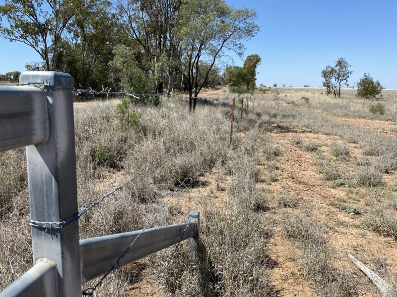 502 Bungeworgorai Lane, Dargal Road QLD 4455